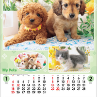 ＳＢ-１２６ マイペット