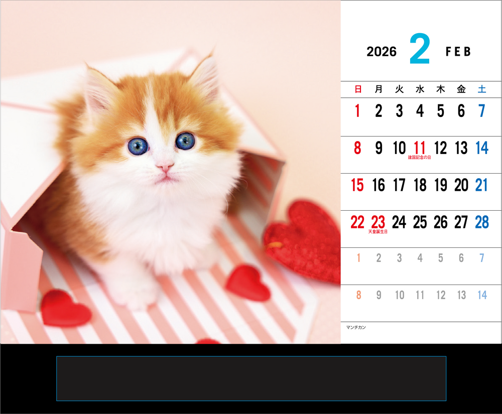 ＳＰ-３０２ ウィズドッグ＆キャット